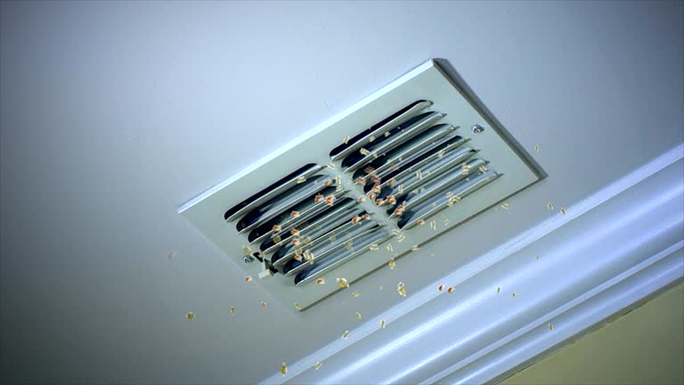 Best Emergency Air Duct Cleaning  in Northridge, OH
