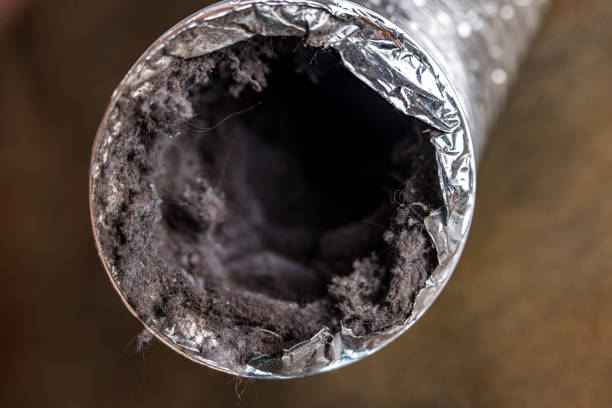 Best Professional Duct Cleaning Services  in Northridge, OH