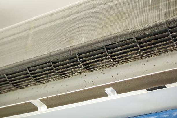 Best Ventilation Cleaning Services  in Northridge, OH